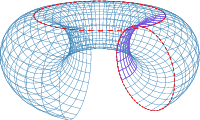 torus.png